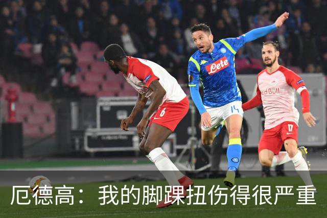 厄德高：我的脚踝扭伤得很严重